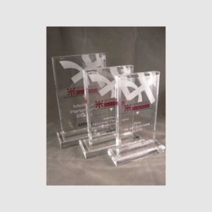 PACK DE 3 TROPHÉES PLEXIGLASS RECTANGLE