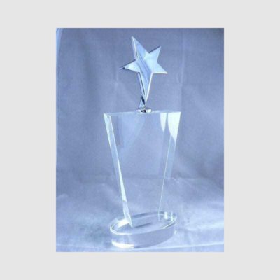 TROPHÉE VERRE STAR 2010