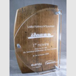 TROPHÉE BOIS I 2008