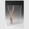 TROPHÉE VERRE PERFORMANCE