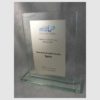 TROPHÉE VERRE SYNERGIE III