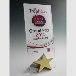 TROPHÉE PLEXIGLASS ETOILE RECTANGLE