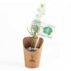 Petit arbre Pin en pot carton