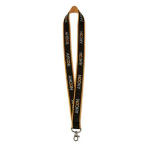 Lanyard