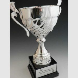 COUPE DE LUXE 35 CM ARGENTÉE