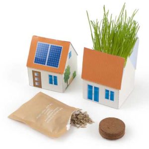 Graines en petite maison écolo