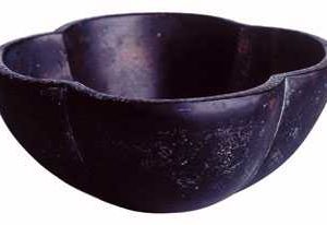 Coupe Flora