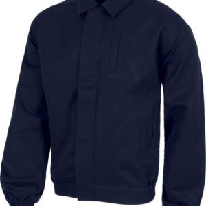 Blouson Basic Algodon