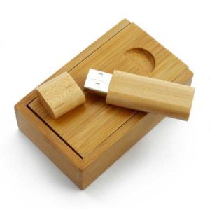 Clé USB GREEN TREND