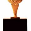 Trophée Tee