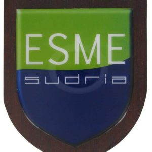 Plaque à la forme