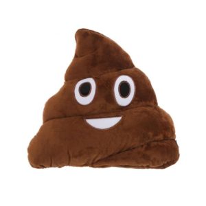 Coussin Emoticone Crotte
