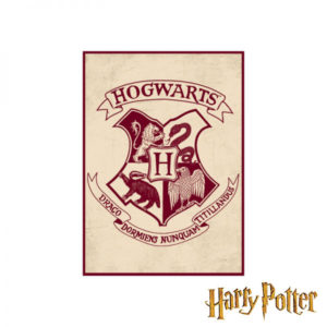 Magnet Metallique Harry Potter : Magnet Metallique Harry Potter Poudlard