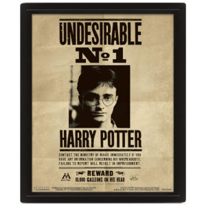 Cadre Harry Potter Effet Anime 3D