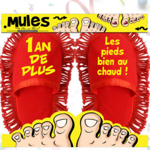 Mules Serpillieres Anniversaire 1 An de Plus
