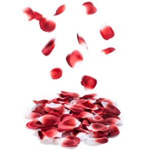 Petales de Roses Parfumees Explosion