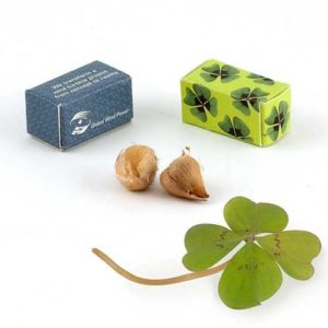 Porte bonheur en mini boite cadeau