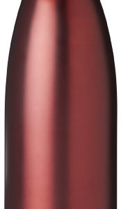 Bouteille isolante Vasa