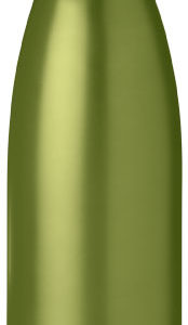 Bouteille isolante Vasa