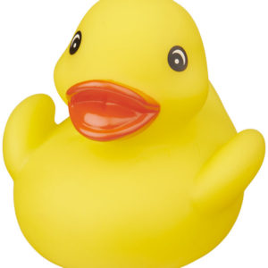 Canard Affie