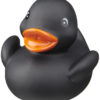 Canard Affie