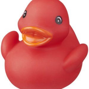 Canard Affie