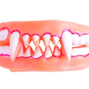 Dentier de vampire souple double