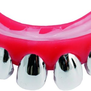 Dentier rigide avec p‚te - dents argentÈes