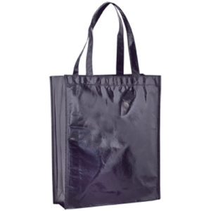 Sac IDES