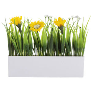 Plante Décoration BOTANIA