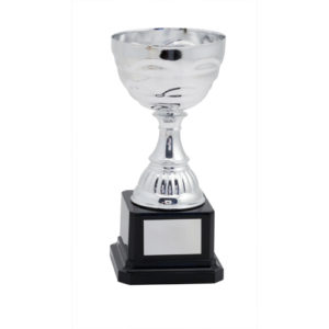 Coupe CEVIT