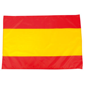Drapeau CASER