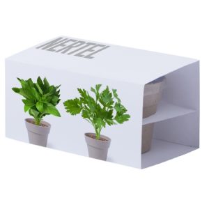 Set Pot de Fleurs NERTEL