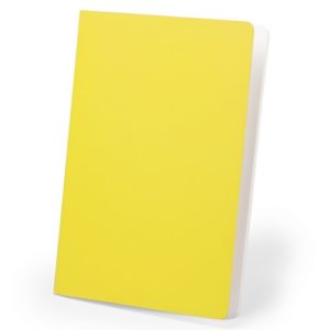 Cahier DIENEL