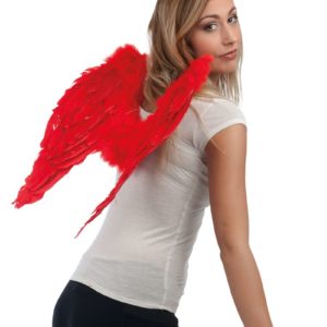 Ailes d'ange en plumes - 50 x 50 cm - rouge