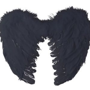 Ailes d'ange en plumes - 40 x 32 cm - noir