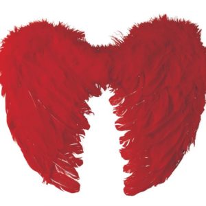 Ailes d'ange en plumes - 40 x 32 cm - rouge