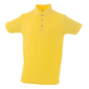 Polo CERVE