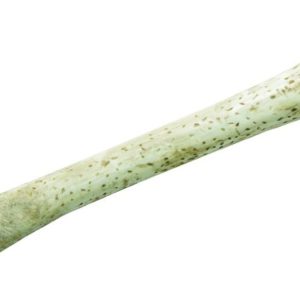 Os des cavernes - plastique - 28 cm