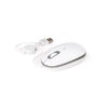 Souris optique