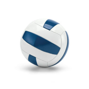 Ballon de volley-ball