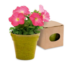 Pot de Fleurs ADVERT