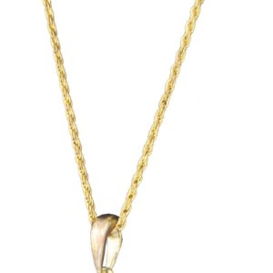 Collier dollar - mÈtal or