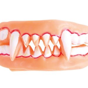 Dentier de vampire souple double