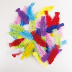 Plumes 8-12 cm - couleurs assorties - sachet de 50