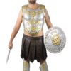 Armure de romain (face et dos) - adulte