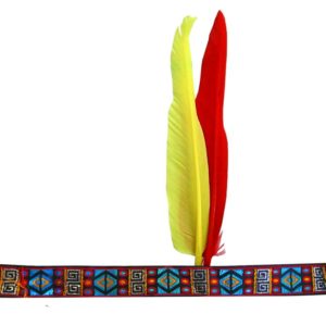 Bandeau indien 2 plumes