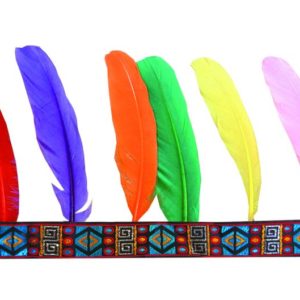 Bandeau indien 6 plumes