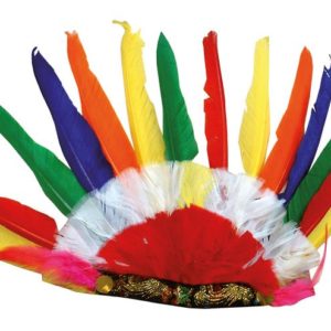 Coiffe indien multicolore 14 plumes