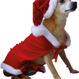 Costume de chien de PËre NoÎl - velours